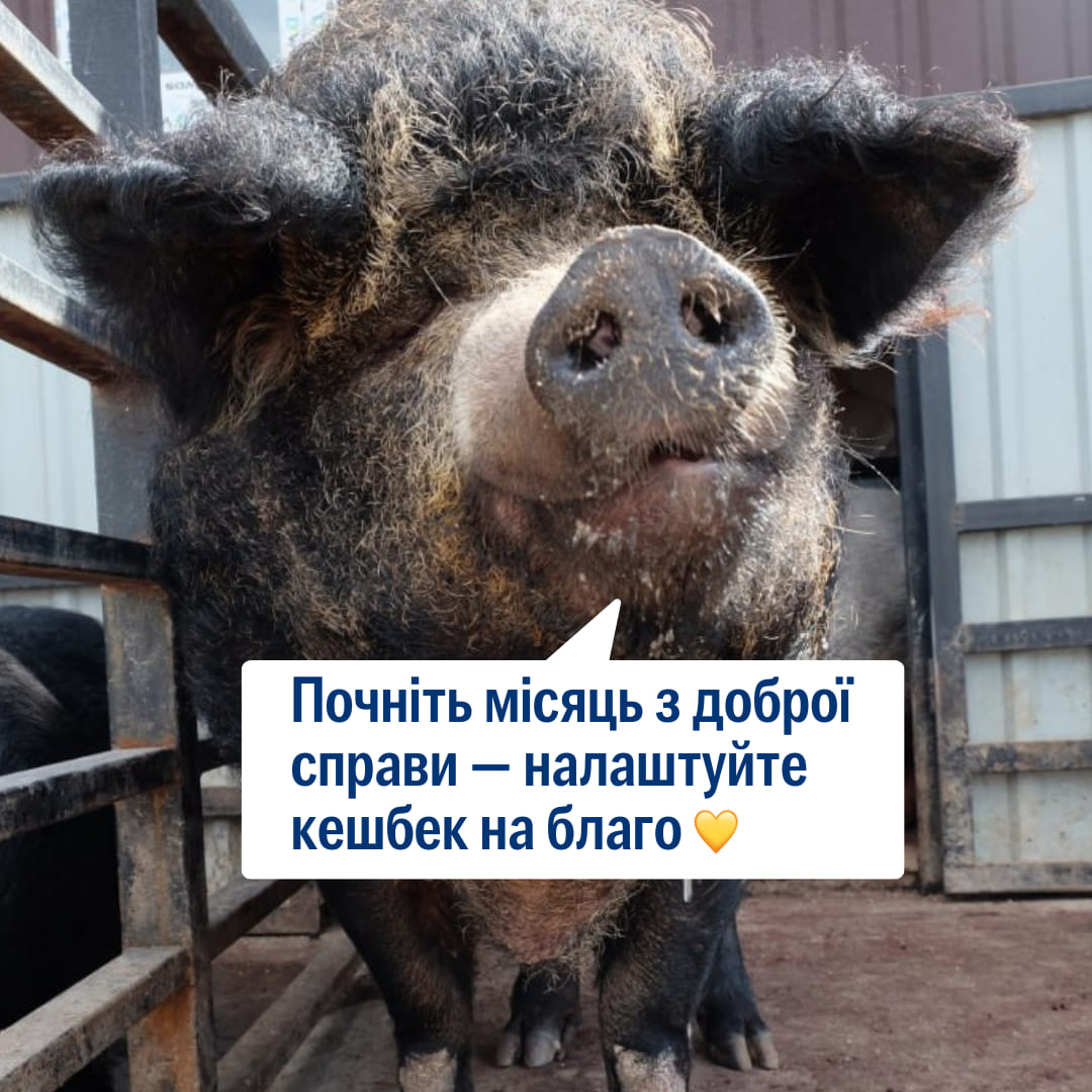 🔔 Початок жовтня — саме час налаштувати кешбек на благо