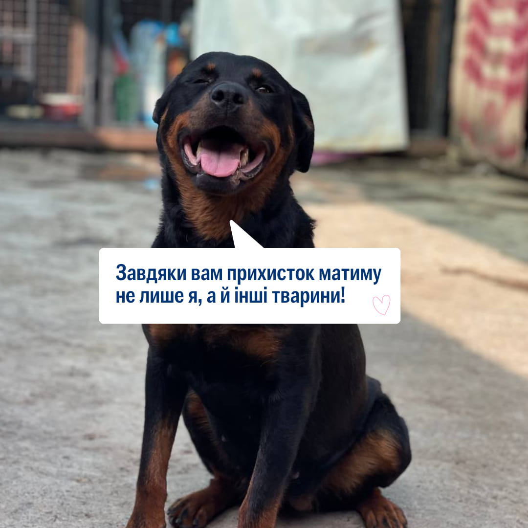 Допоможіть побудувати прихисток для евакуйованих тварин 🙏