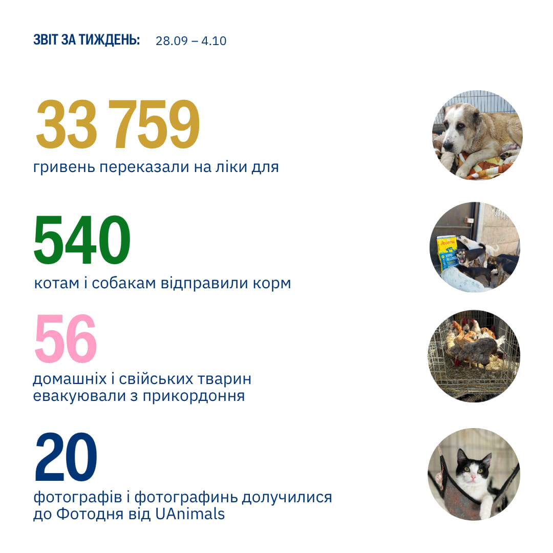 Кожне життя — цінне, а захист тварин — справа кожної людини!💛