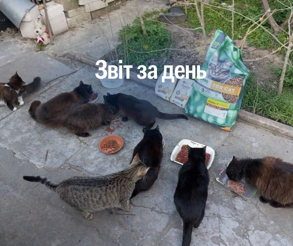 📌955 день повномасштабного вторгнення