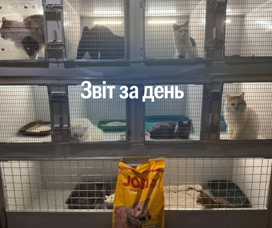📌 957 день повномасштабного вторгнення