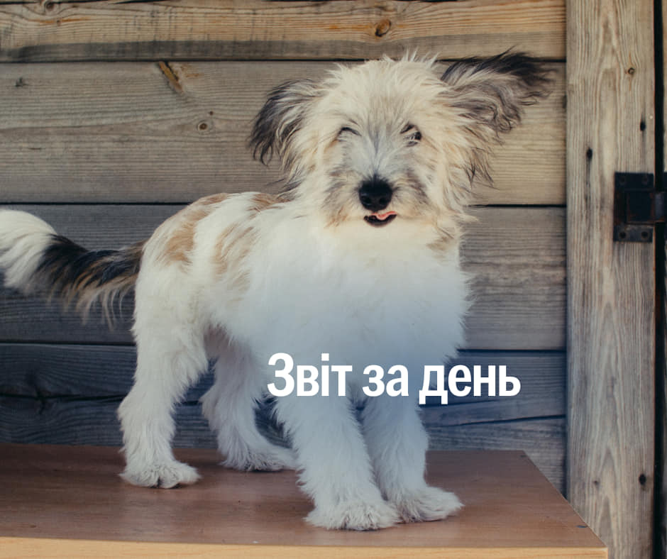 📌956 день повномасштабного вторгнення