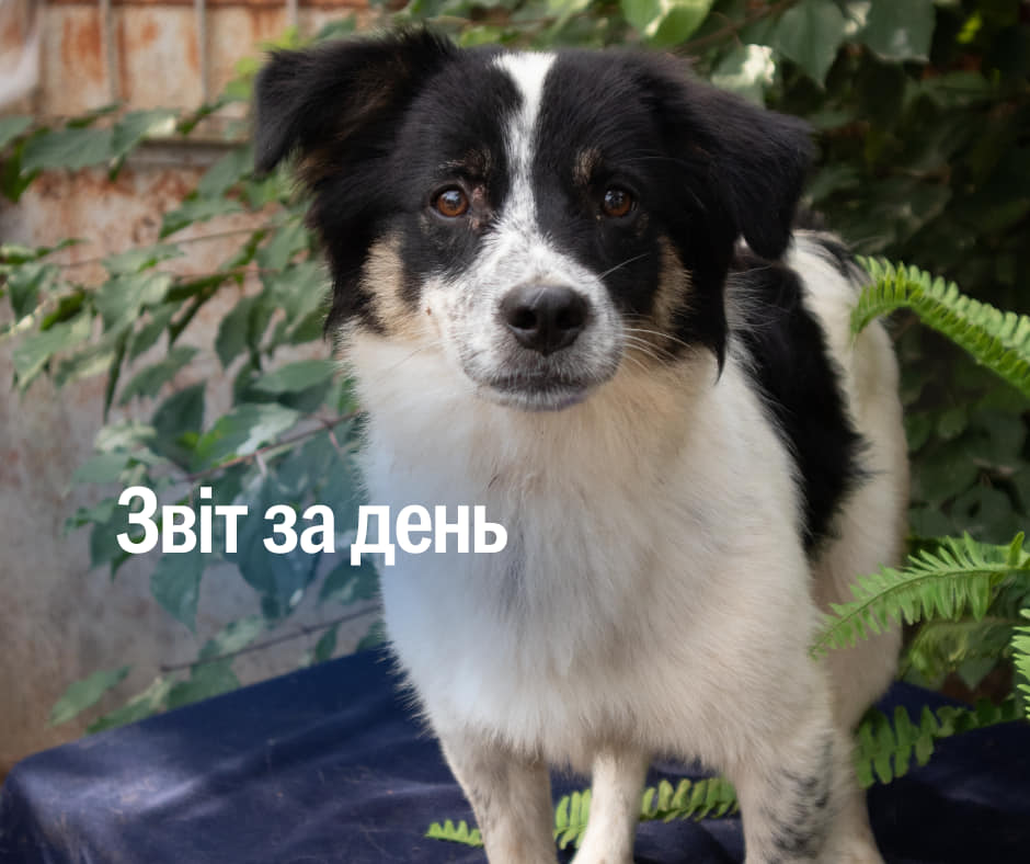 📌 960 день повномасштабного вторгнення