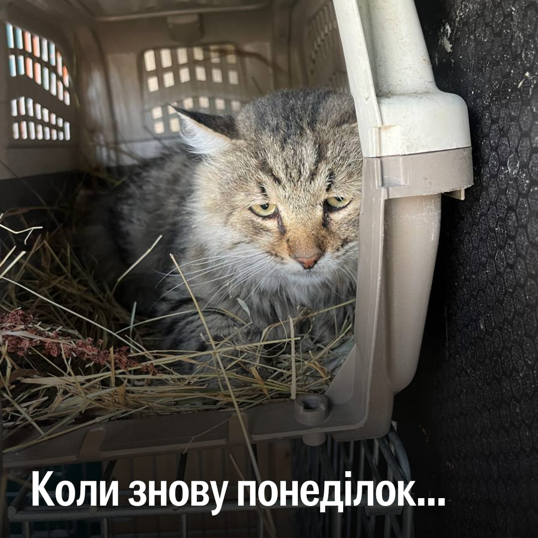 Знаємо, як зробити понеділок кращим 😉