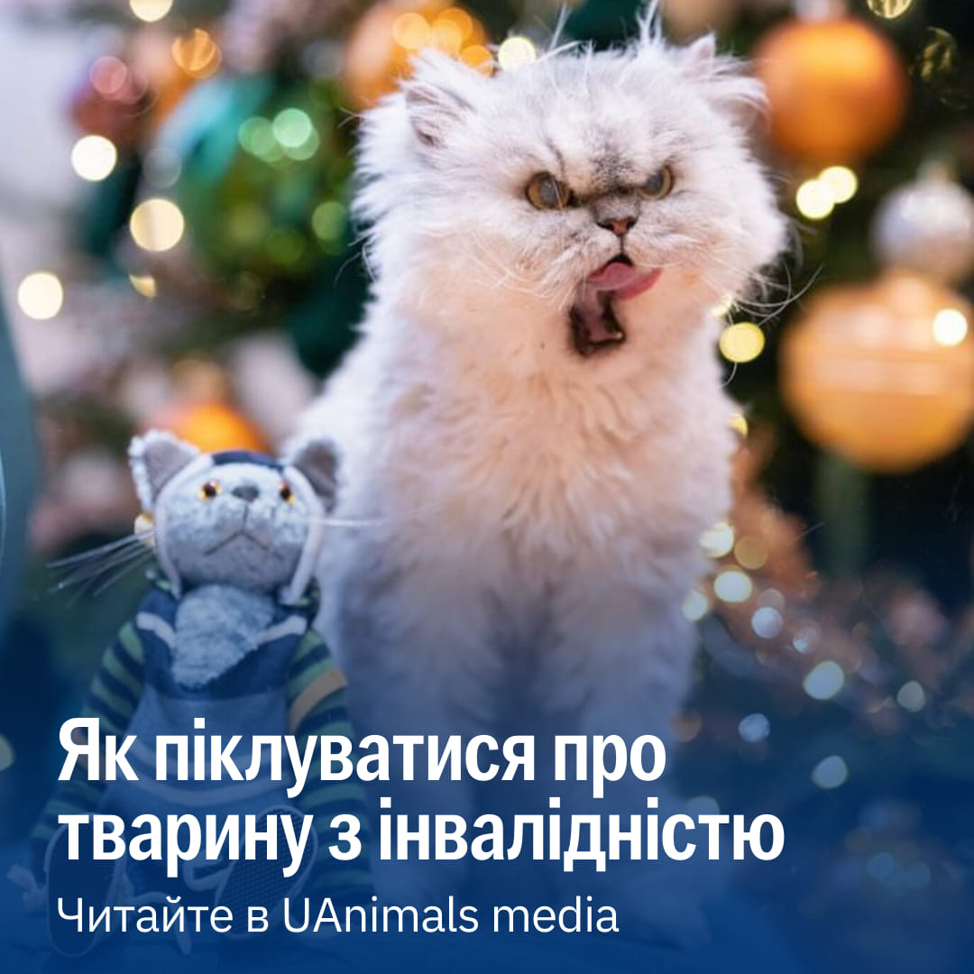 Моха ще кошеням хотіли приспати…