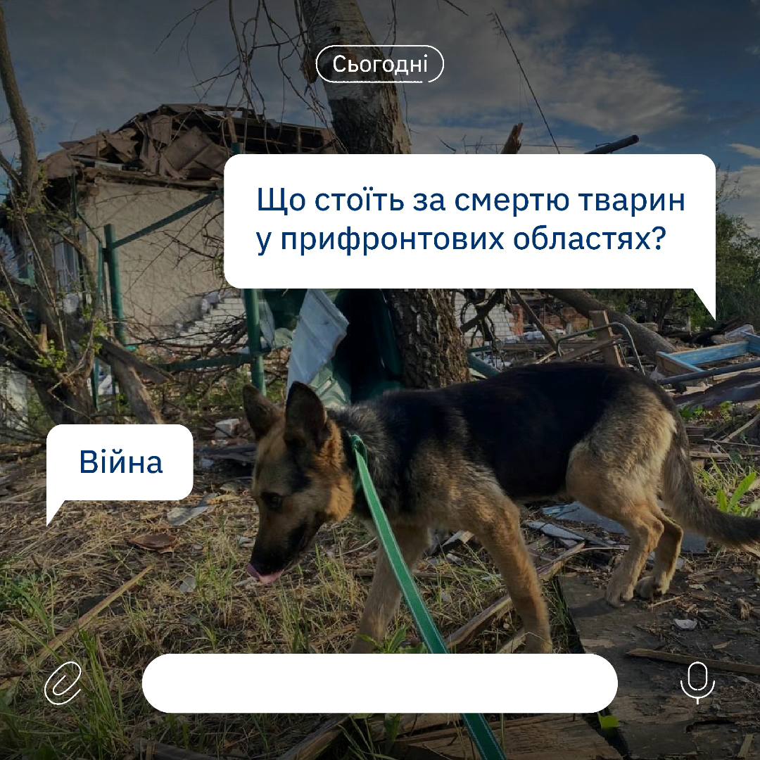 За порятунком тварин стоїть людська підтримка🙏❤️