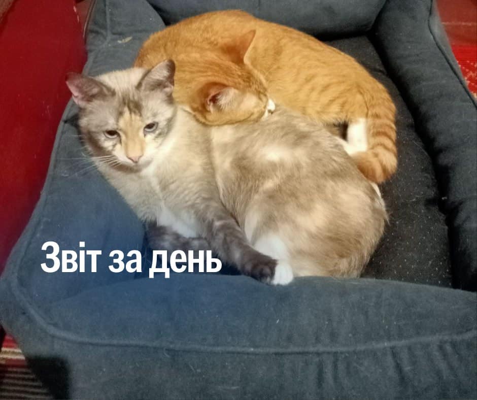 962 день повномасштабного вторгнення