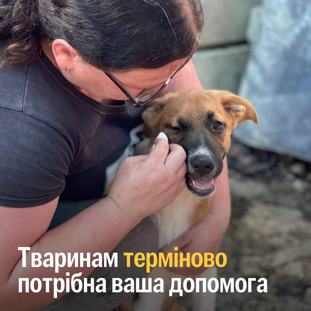 Залишилося 4 дні — встигніть врятувати життя