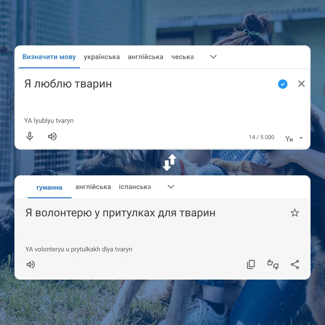 🍂 Найкращі ліки від осіннього смутку — це…