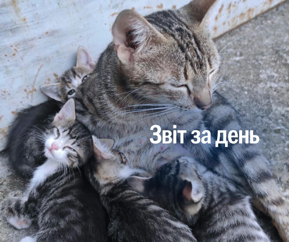 📌 964 день повномасштабного вторгнення