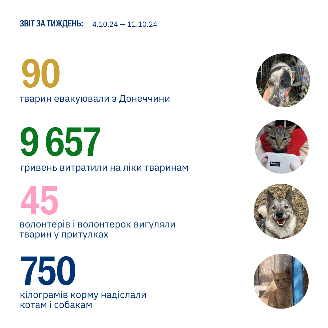 Щотижня ми ділимося викликами, а сьогодні хочемо… вдячністю!💗