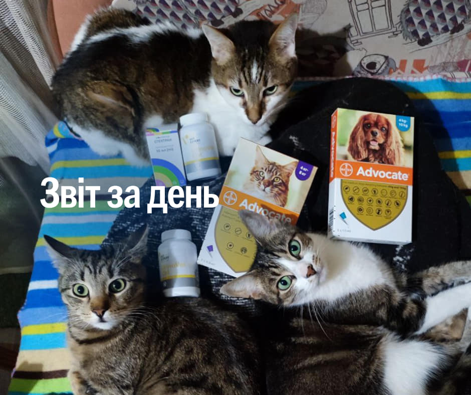 📌 965 день повномасштабного вторгнення