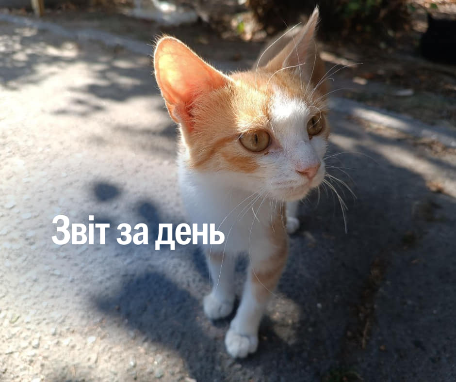 963 день повномасштабного вторгнення