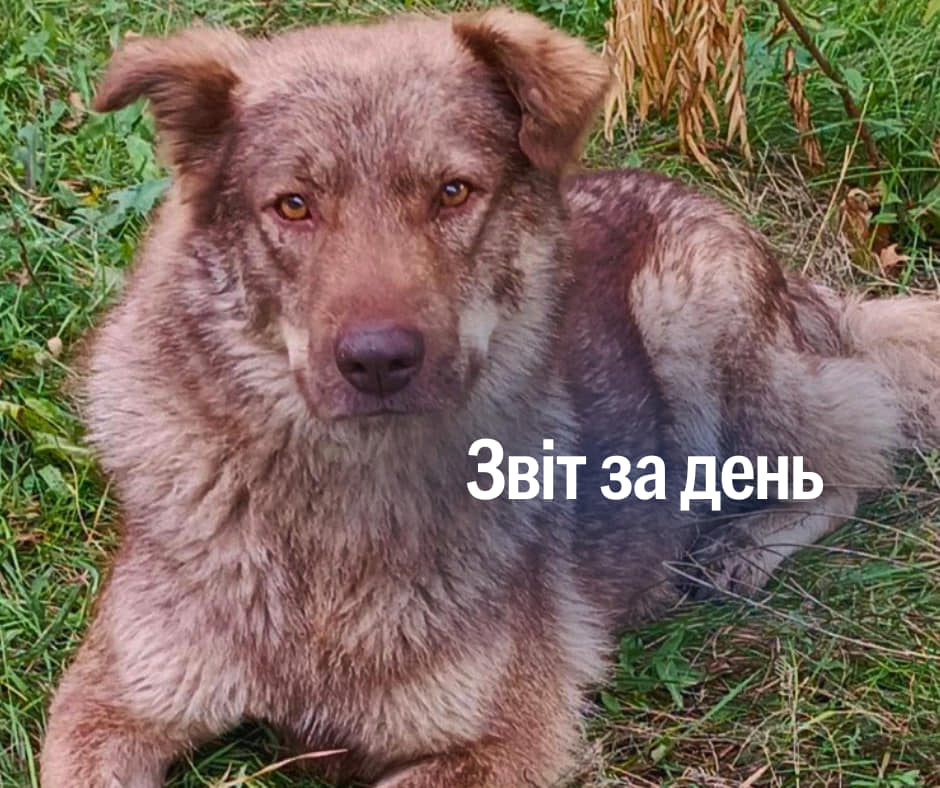 📌 966 день повномасштабного вторгнення