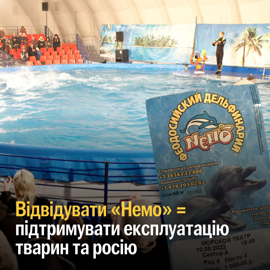 ⚡️Топменеджера дельфінарію “Немо” засудили за колабораціонізм