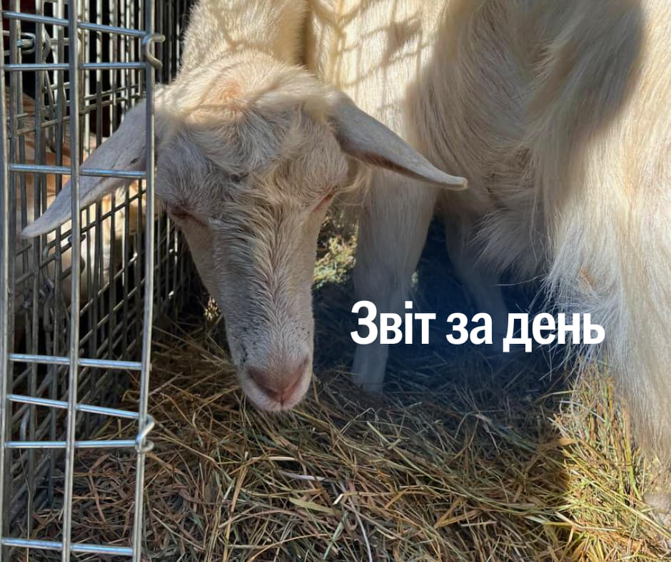 📌 967 день повномасштабного вторгнення