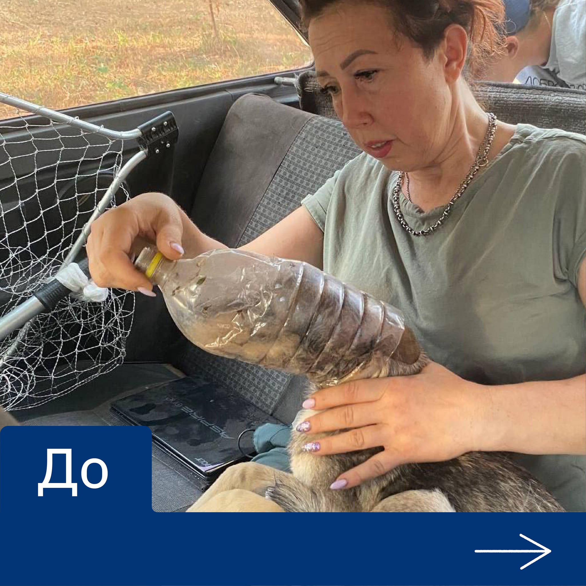 Пес жив із пляшкою на голові тиждень💔😰