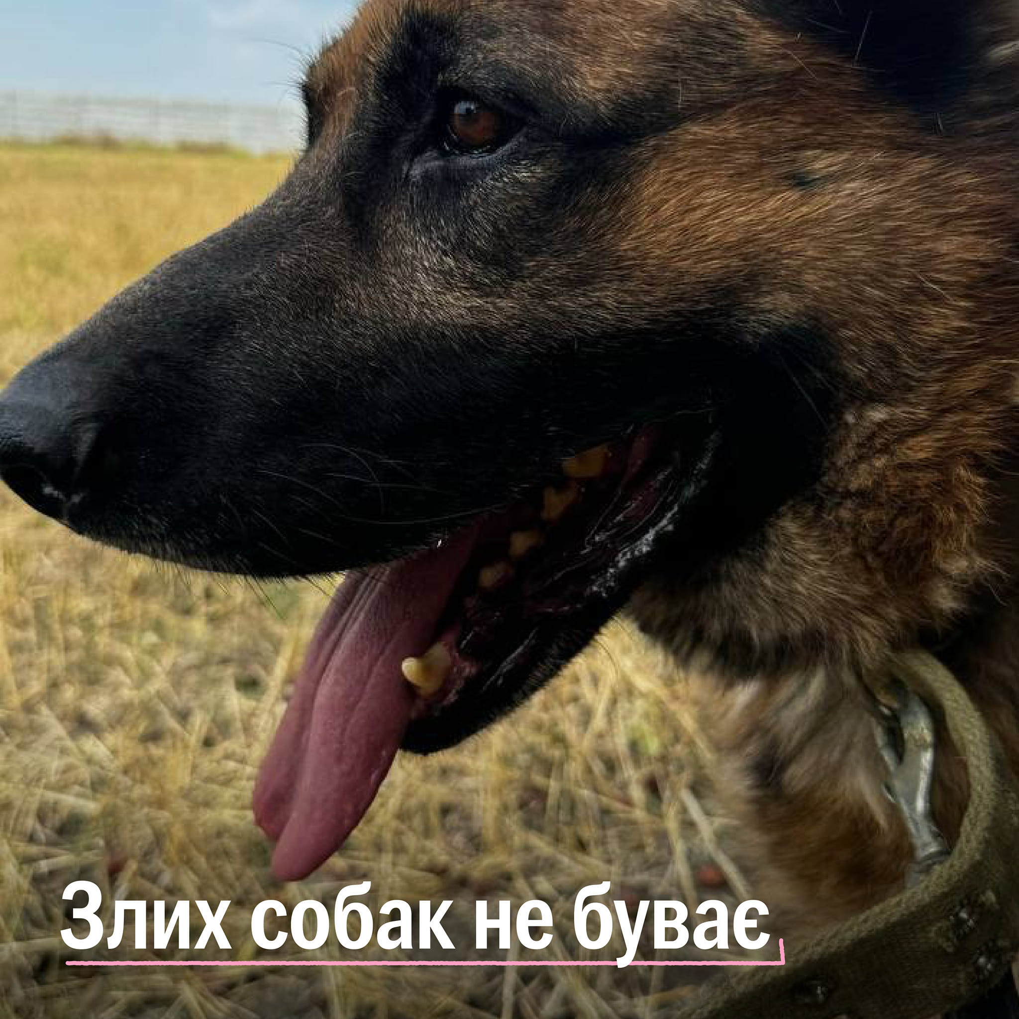 UPD Дякуємо всім за участь, зібрали потрібну суму!