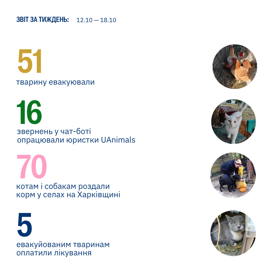 Берегти найважливіше — життя!💙💛