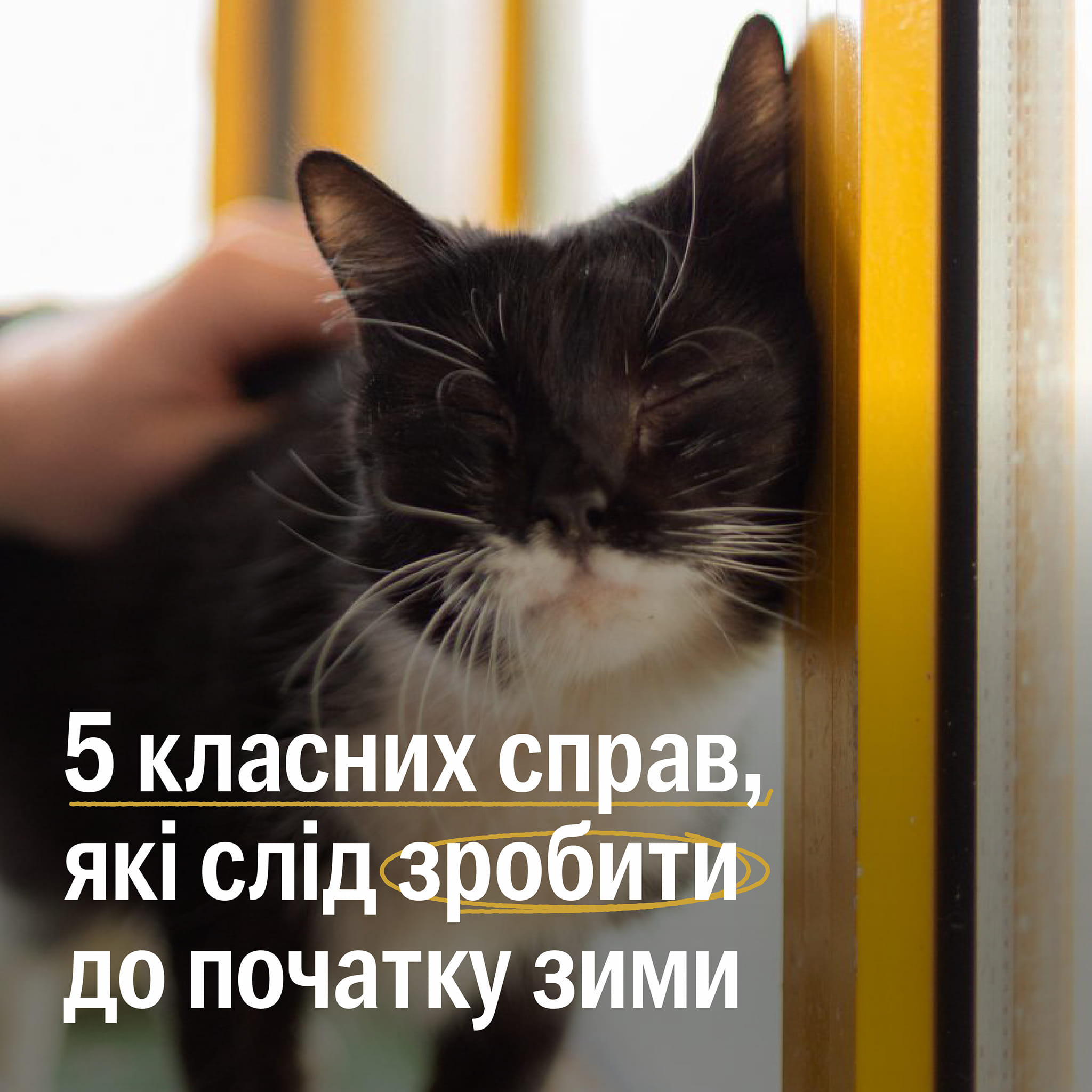 Що можна встигнути до початку зими?❄️