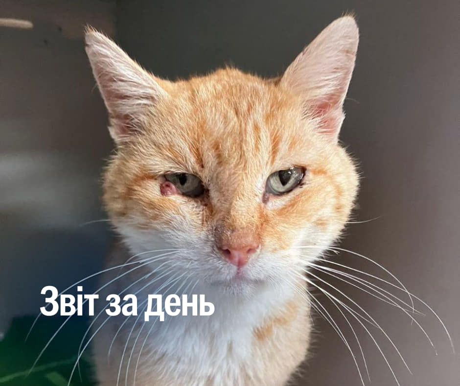 📌968 день повномасштабного вторгнення