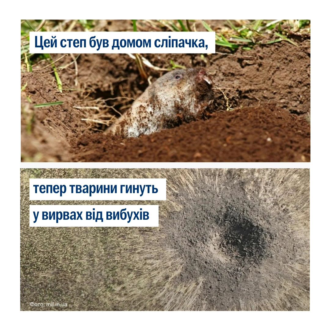 Колись тут панувало життя 😢🦫