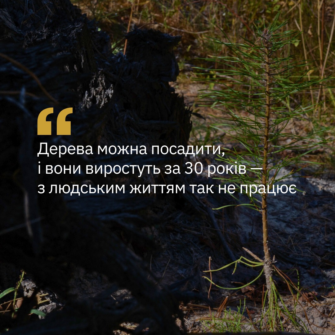 росіяни закидували міни, й ті розривалися у гілках дерев 💔