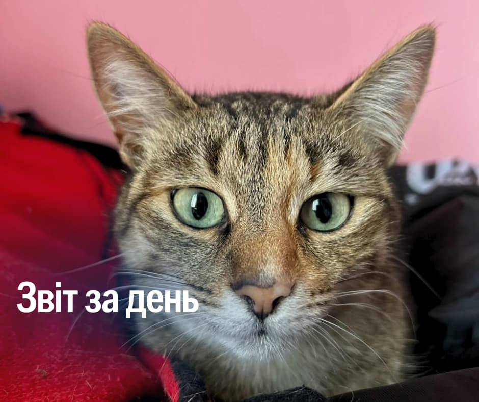 📌 972 день повномасштабного вторгнення