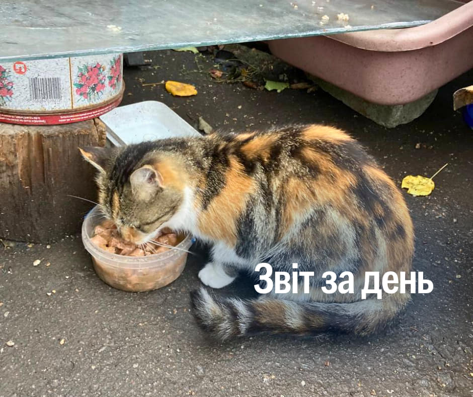 📌 974 день повномасштабного вторгнення