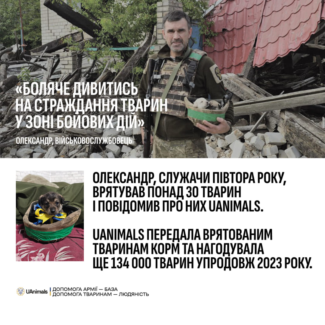 Допомога армії — база, допомога тваринам — людяність💙🐕