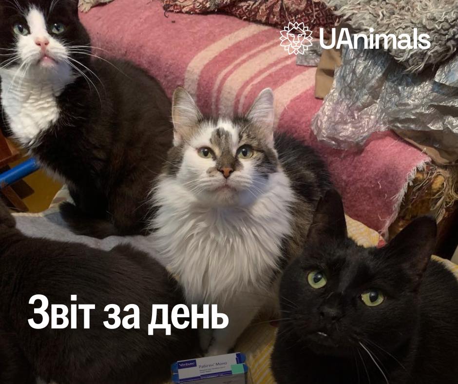 📌 День 976 повномасштабного вторгнення