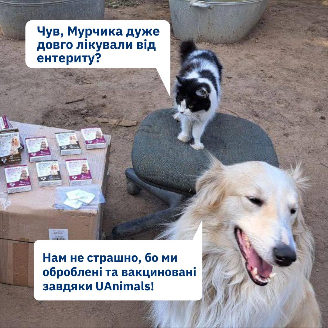 Захистили цих тварин від смертельно небезпечних хвороб завдяки вашим донатам!💗🐾