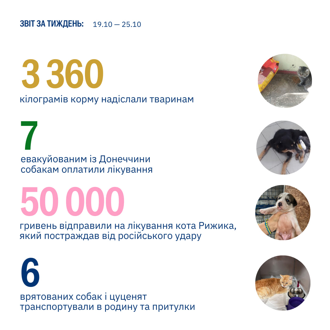 Якби тварини могли вам подякувати, вони би точно це зробили 💗