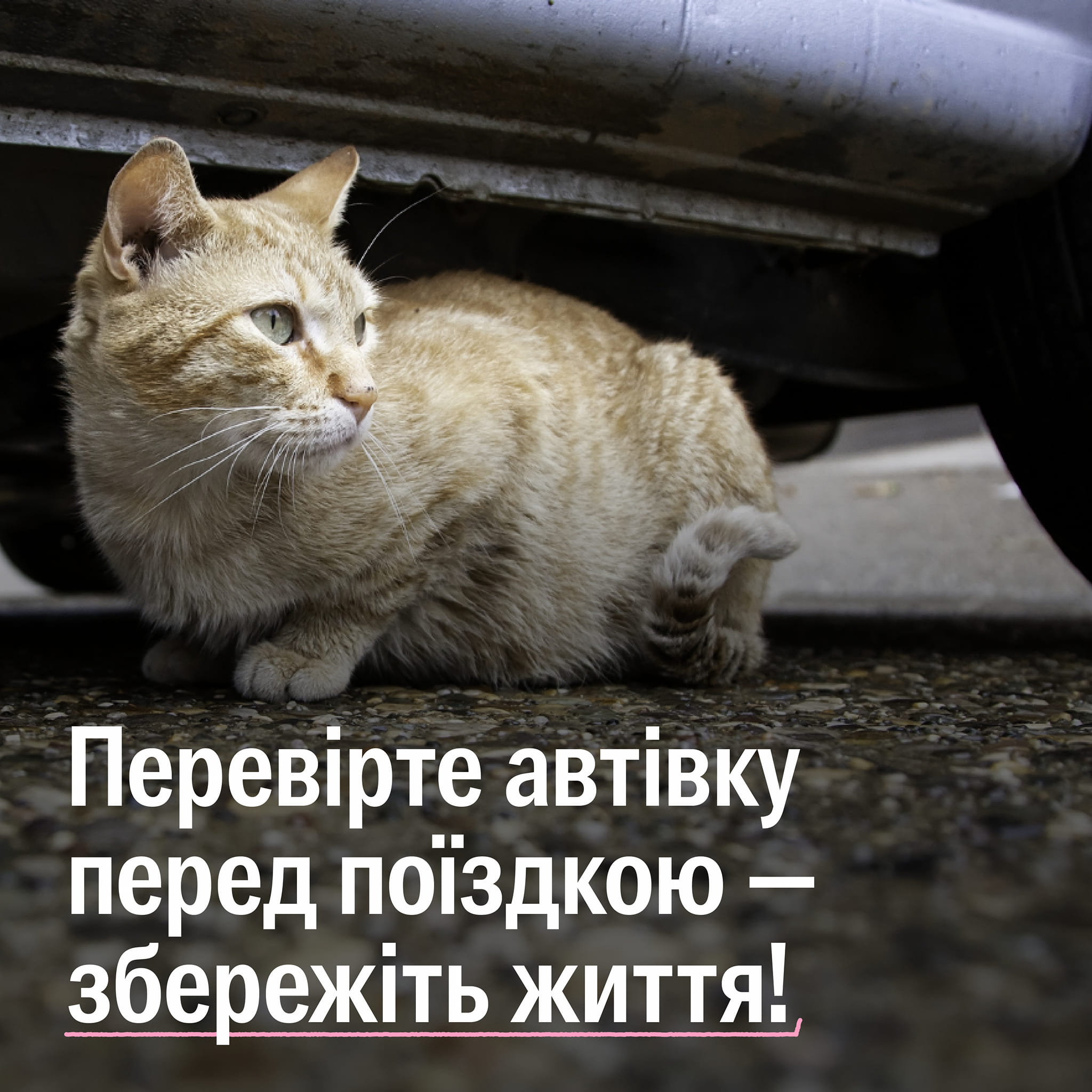 Сідаєте в машину — перевірте, хто їде з вами!