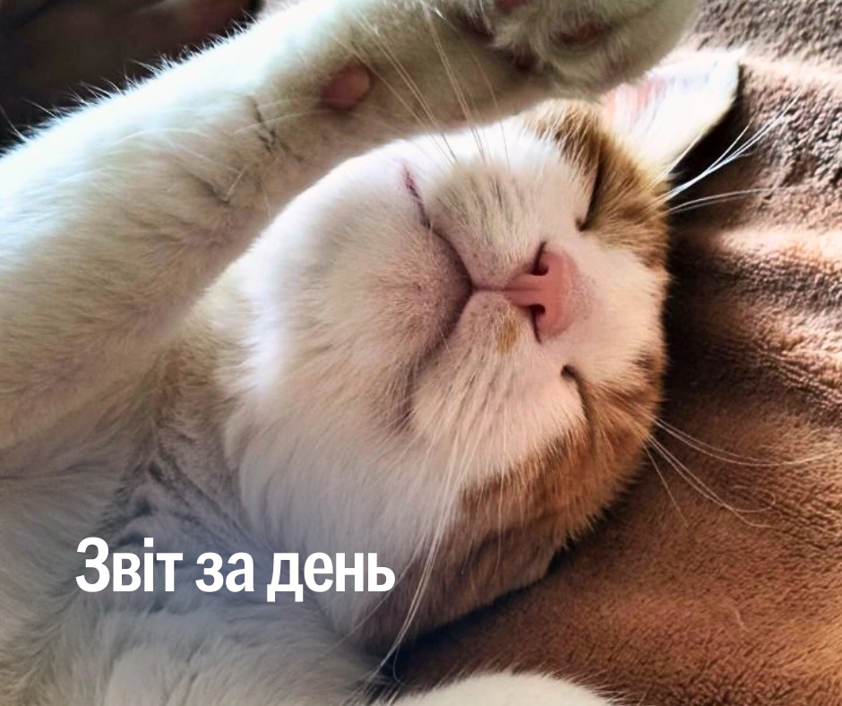 📌 978 день повномасштабного вторгнення