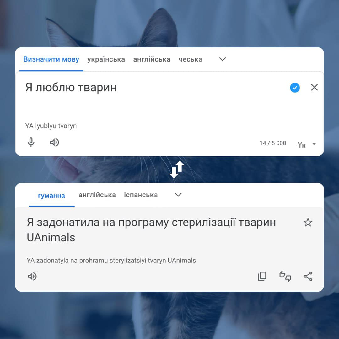 Може колись ми запустимо власний перекладач…