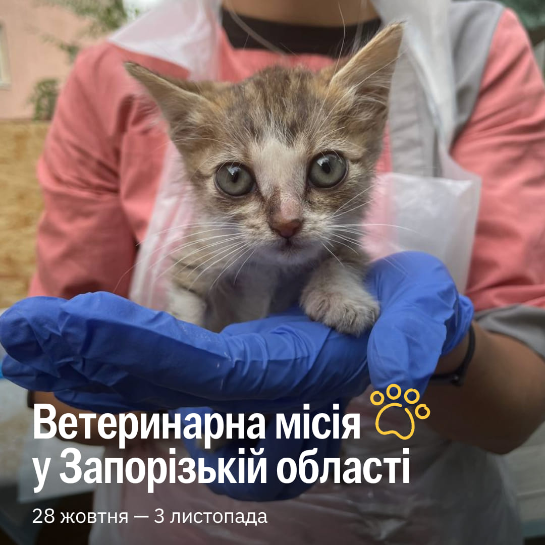 ⚡️ Вирушаємо лікувати тварин на Запоріжжі
