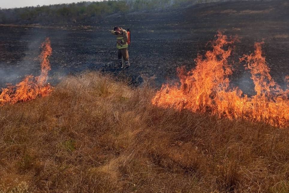 UAnimals долучилися до найбільшої кліматичної події року