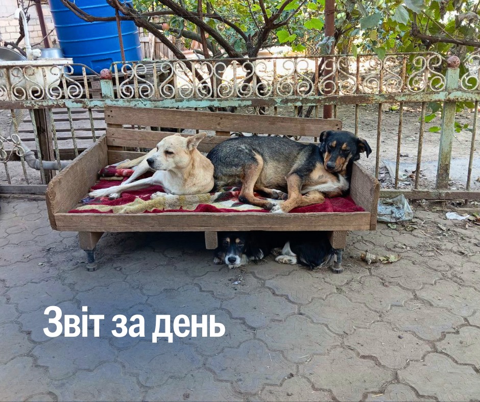 📌 979 день повномасштабного вторгнення