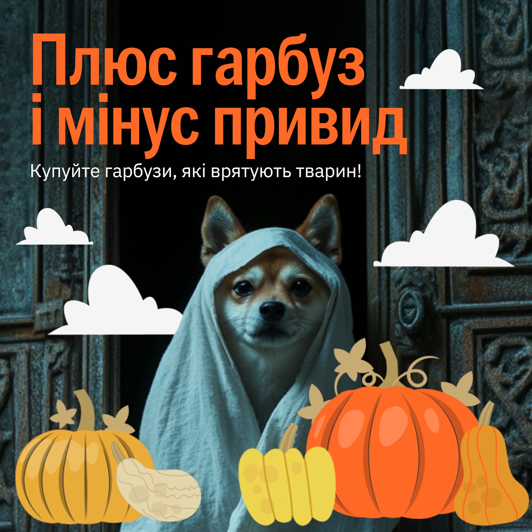 Допоможіть безхатнім тваринам стати видимими! 🐶🐱👻