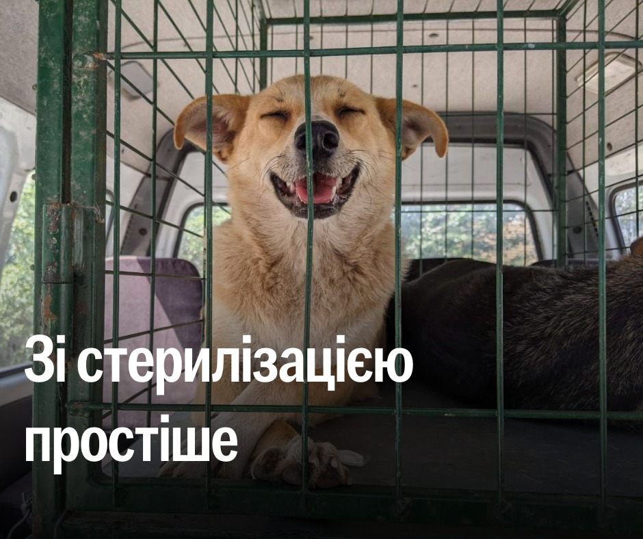 Розказуємо, що, власне, й кому простіше 👇