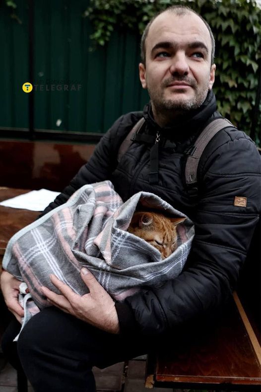 Ранок вівторка у Солом’янському районі 💔
