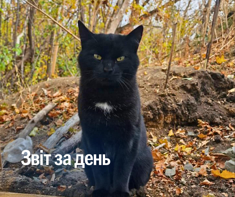 📌 980 день повномасштабного вторгнення