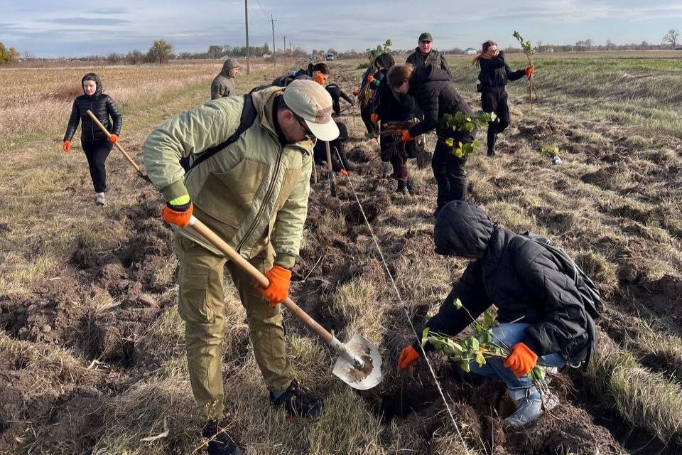Волонтерки і волонтери UAnimals висадили на Київщині «лісосмугу життя»