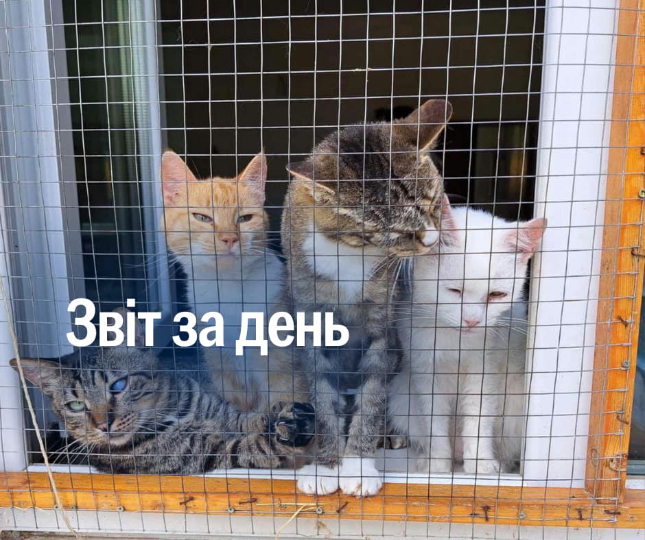 📌1012 день повномасштабного вторгнення