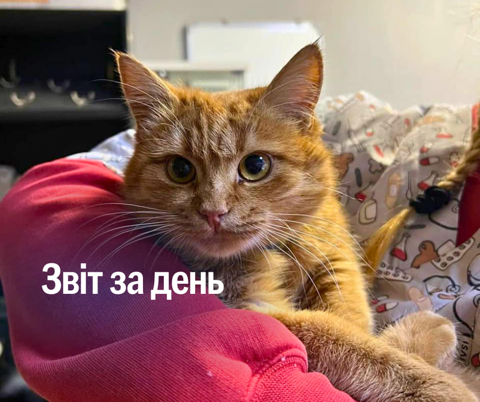 📌 1013 день повномасштабного вторгнення