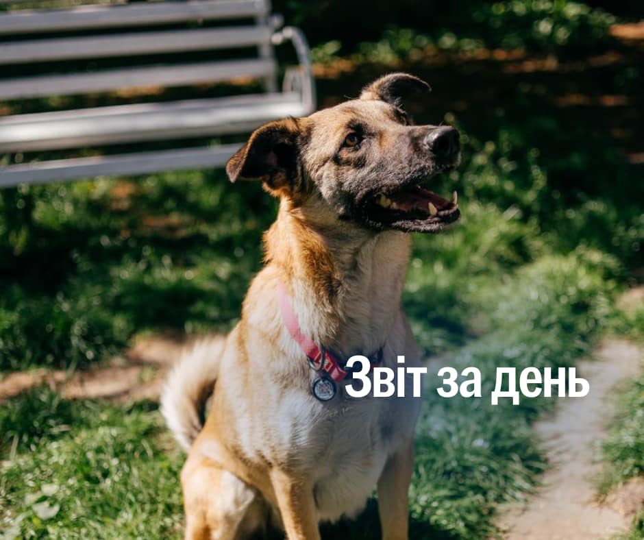 📌 1 016 день повномасштабного вторгнення