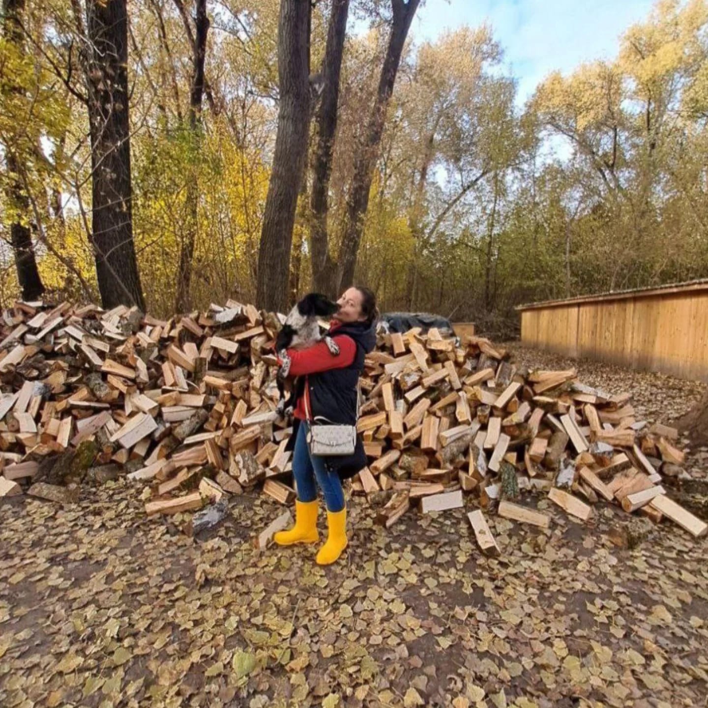 Перший день зими — і перші результати Великого зимового збору ❄️