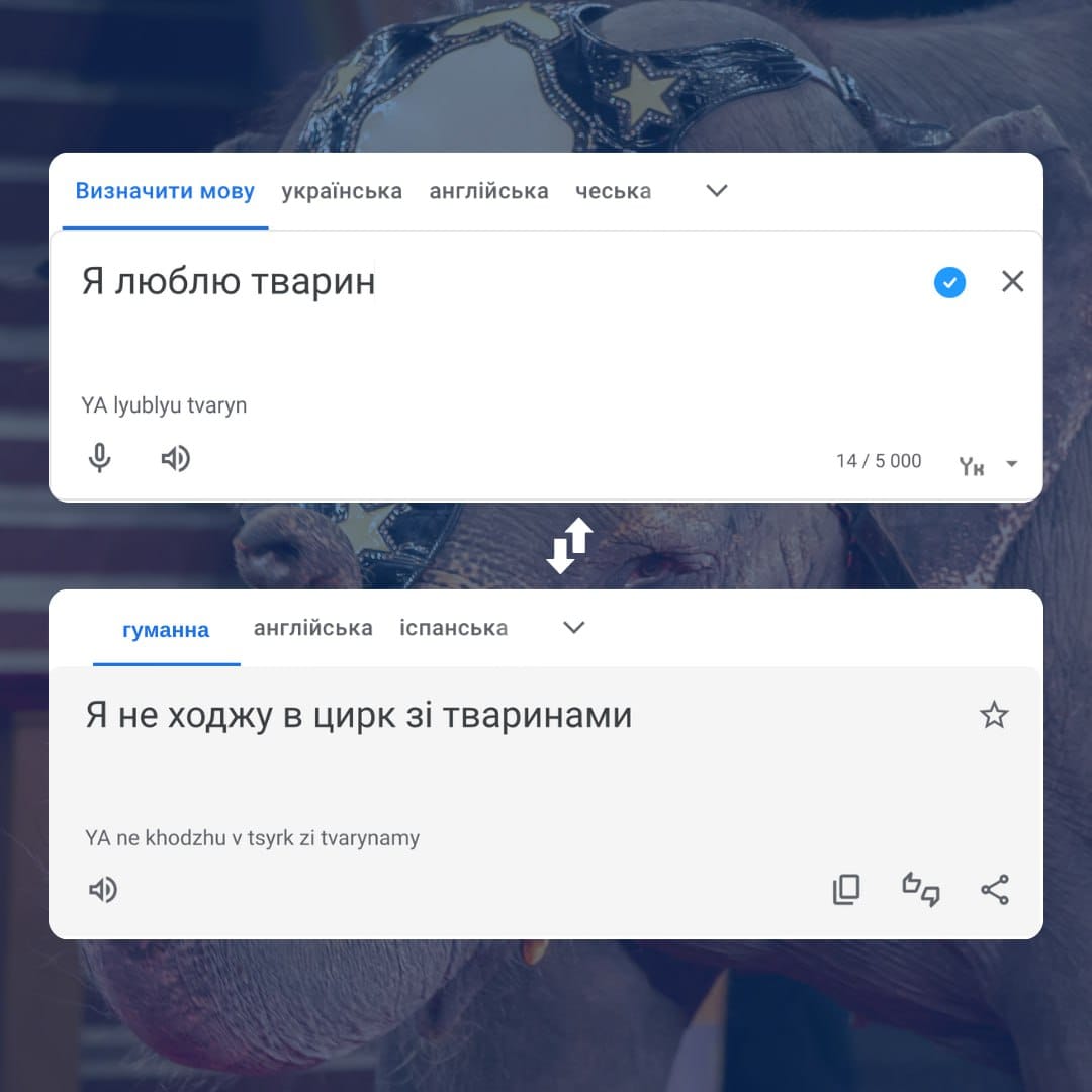 Рятуйте. Не змушуйте страждати!🙌