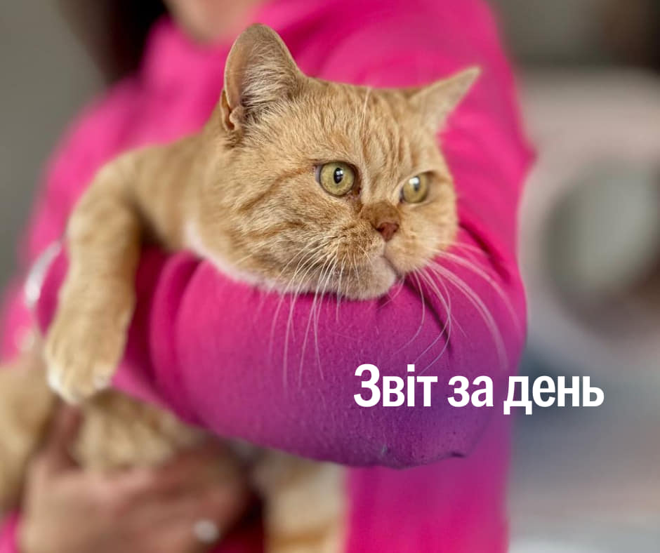 📌 1015 день повномасштабного вторгнення